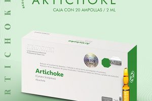ARTICKOKE2